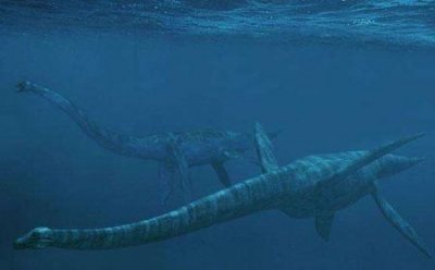 喀纳斯湖水怪是什么动物?喀纳斯湖水怪是什么动物?会是巨型哲罗鲑