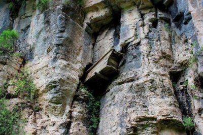 世界上最大的六种你牛见过吗?