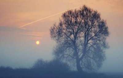 为什么人们会如此重视世界末日预言