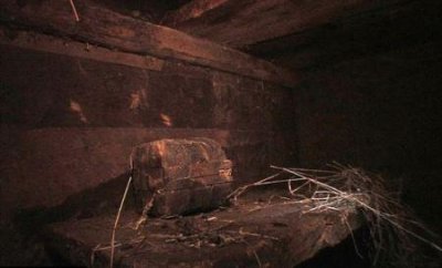 5300年前冰人奥兹诅咒未解之谜:6个冰人奥兹接触者死于非命