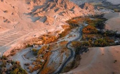 未解之谜:南美洲发现的有脸的四足兽像山海经里的物种