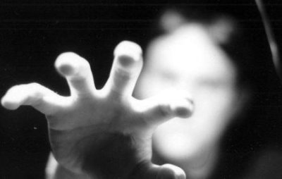 婆罗门鸡苗价格 婆罗门鸡市场价