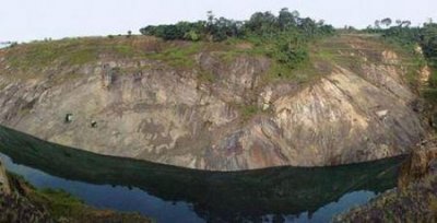 科普十大最好养的水龟