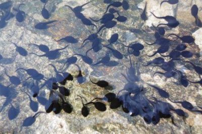 世界上年龄最大的程序员,竟已87岁!