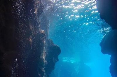 美人鱼儒艮 动物 儒艮美人鱼的真实样子