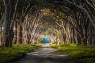 春晚灵异事件 春晚灵异事件