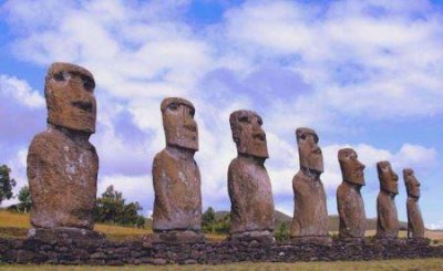 朱丽叶玫瑰现在多少钱一朵