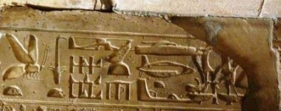 奇怪的贵阳空中怪车事件真相 400亩松树林被不明飞行物拦腰砍断