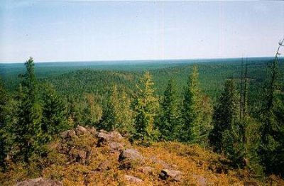 世界上最不值钱的十大货币排行榜