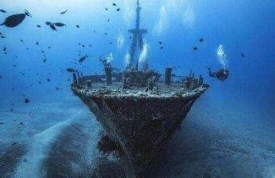 飞机餐发4个馒头1片白菜为什么要盖1片白菜有什么科学知识点吗?