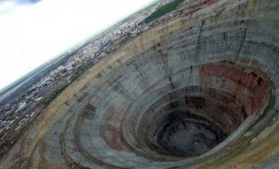 缅因猫价格多少钱一只100万