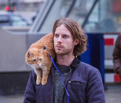 流浪猫鲍勃2有彩蛋吗