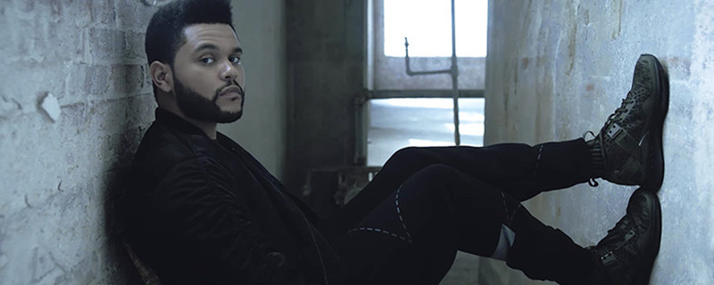 盆栽哥为什么叫盆栽哥