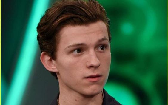 为什么叫荷兰弟