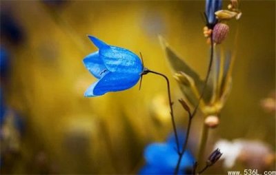 鸿星尔克悄悄给山西捐物资