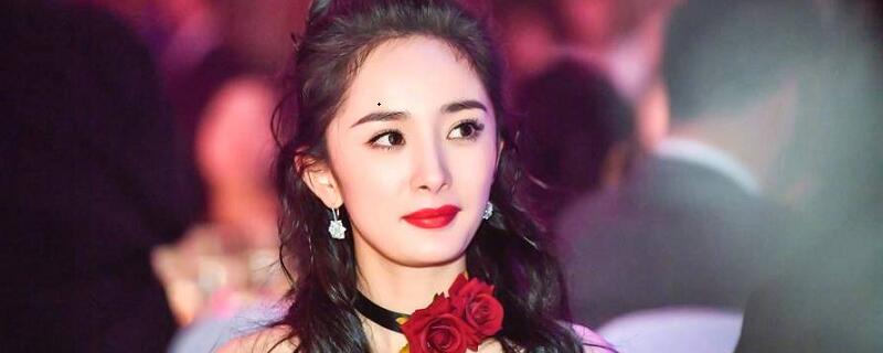 杨幂旗下艺人名单全部