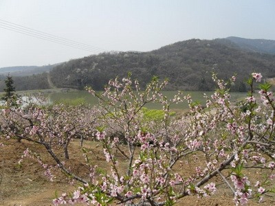 安徽森林公园肥东浮槎山——江北小九华,环巢湖名山