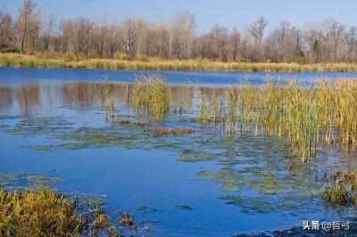 ​到底什么是辩证法