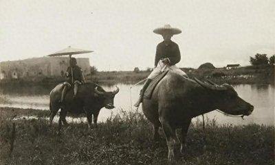 ​1951年，李之龙家属为其申请追认烈士，为何没有通过？