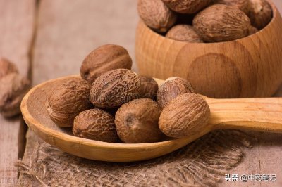 方剂笔记|第72方 真人养脏汤