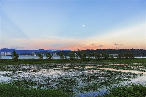 旅途见闻—云南(大理-洱海月湿地公园)
