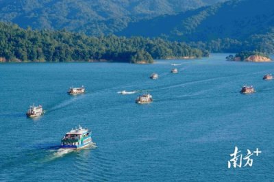 ​南方+网友票选2024年河源十大新闻出炉！