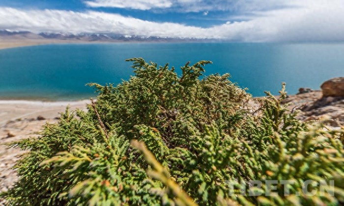 “天湖”纳木错