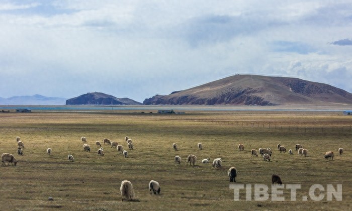 “天湖”纳木错