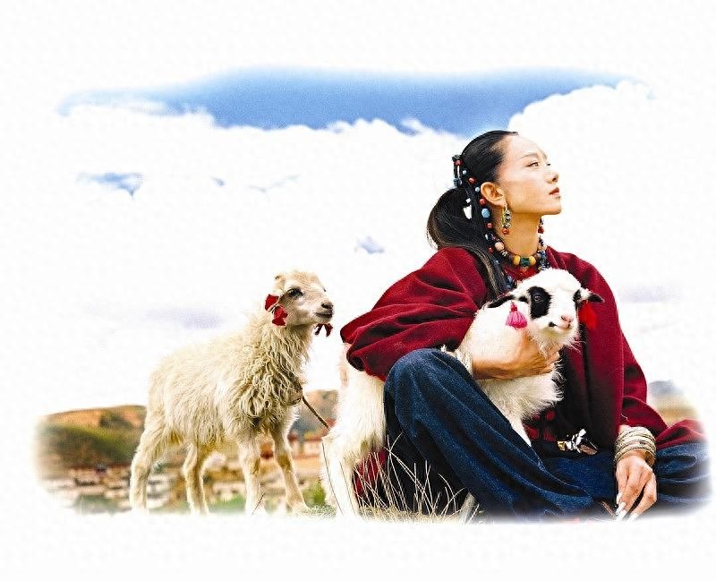 著名舞蹈家杨丽萍