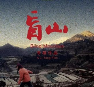 豆瓣8.5《盲山》:大山的盲,人心的盲,法制的盲