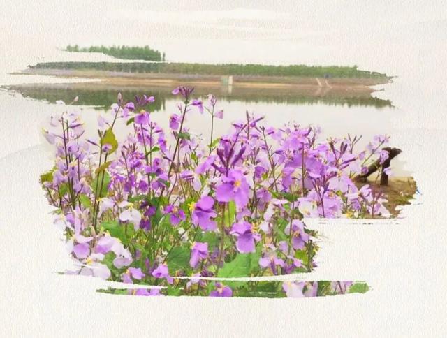 北京最美的村庄(推荐北京不可不去的15个村庄)(6)