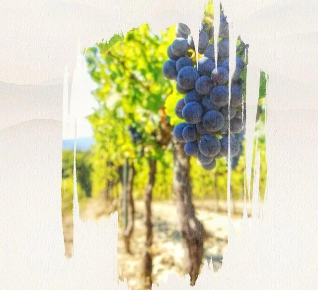 北京最美的村庄(推荐北京不可不去的15个村庄)(7)