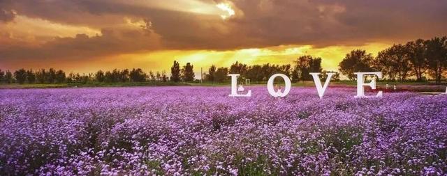 北京最美的村庄(推荐北京不可不去的15个村庄)(10)