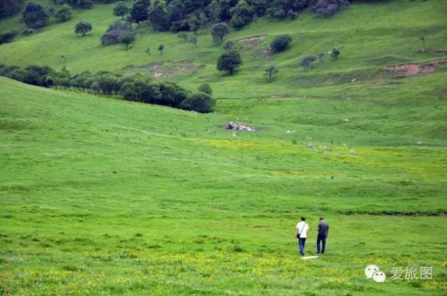 5.1旅游攻略关山牧场(走约起一起去关山牧场)(20)