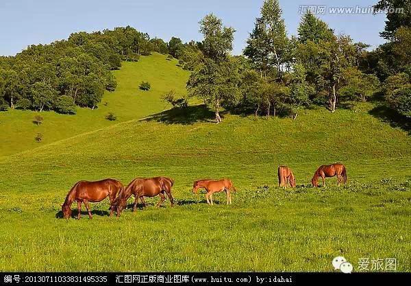 5.1旅游攻略关山牧场(走约起一起去关山牧场)(12)