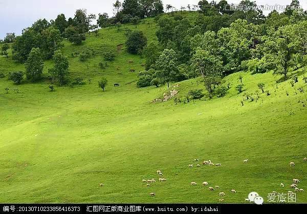 5.1旅游攻略关山牧场(走约起一起去关山牧场)(9)