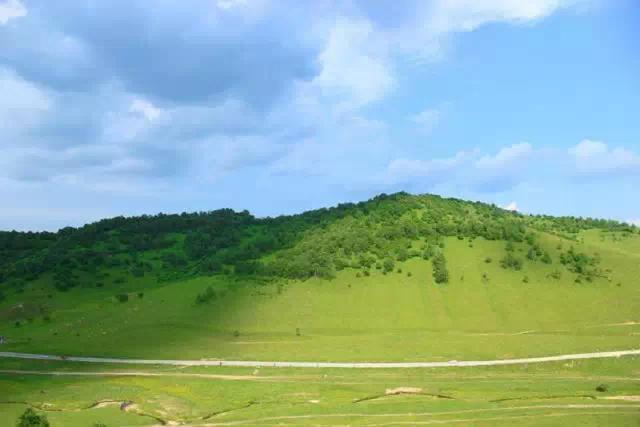 5.1旅游攻略关山牧场(走约起一起去关山牧场)(4)