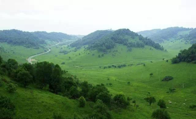 5.1旅游攻略关山牧场(走约起一起去关山牧场)(3)