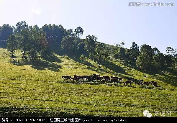 5.1旅游攻略关山牧场(走约起一起去关山牧场)(11)