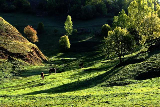 5.1旅游攻略关山牧场(走约起一起去关山牧场)(5)