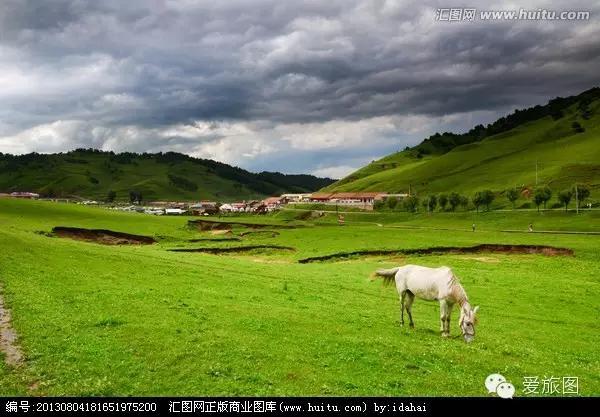 5.1旅游攻略关山牧场(走约起一起去关山牧场)(8)