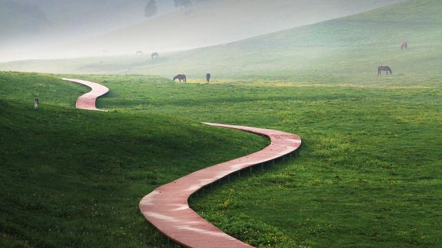 5.1旅游攻略关山牧场(走约起一起去关山牧场)(7)