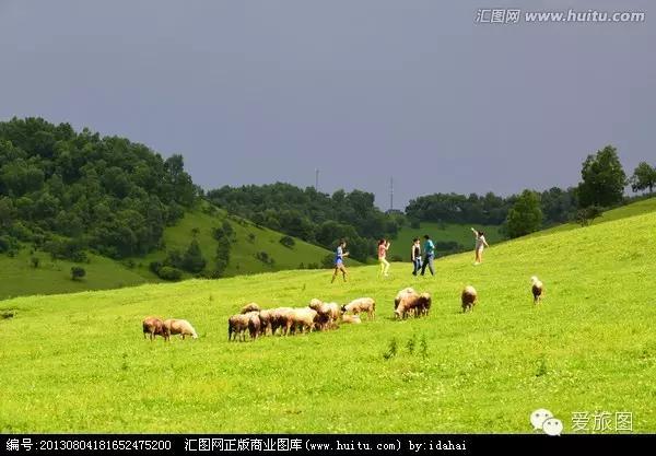 5.1旅游攻略关山牧场(走约起一起去关山牧场)(10)