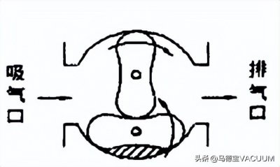 一文带你全面了解罗茨真空泵