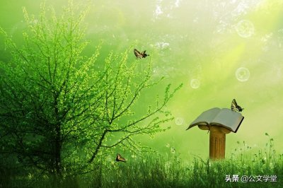 一眼惊艳的神仙标题,都是宝藏素材