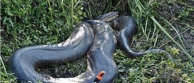 太湖冤魂事件真相(无可靠信息来源的故事)