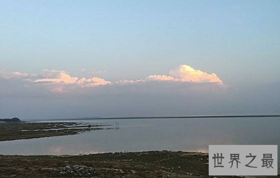 我国最大的淡水湖鄱阳湖风景优美,简直是一个物种宝库!