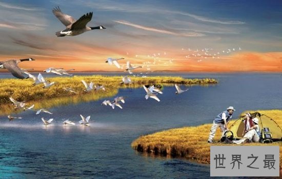 我国最大的淡水湖鄱阳湖风景优美,简直是一个物种宝库!