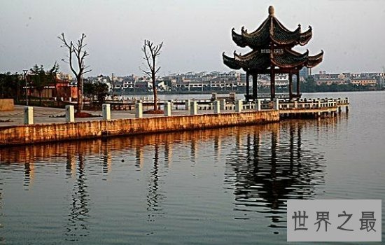 我国最大的淡水湖鄱阳湖风景优美,简直是一个物种宝库!