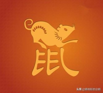 鼠年看鼠,盘点15部老鼠相关的电影